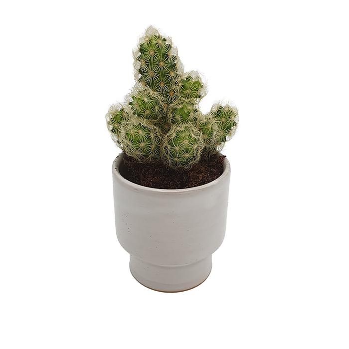 Cup-candleholder-pot Wide white