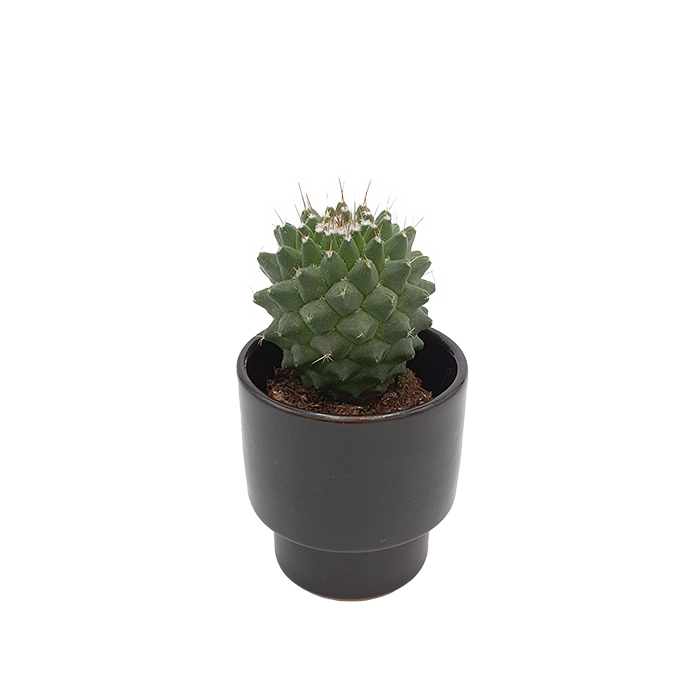 Cup-candleholder-pot Wide black